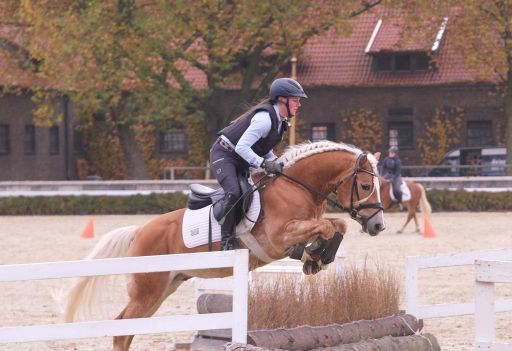 HLP2021_Niclas Boy_0007