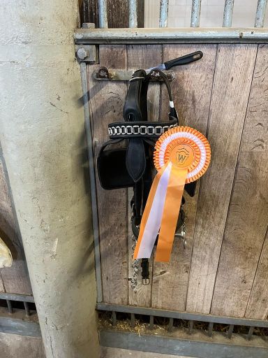 HLP2021_Niclas Boy_0011