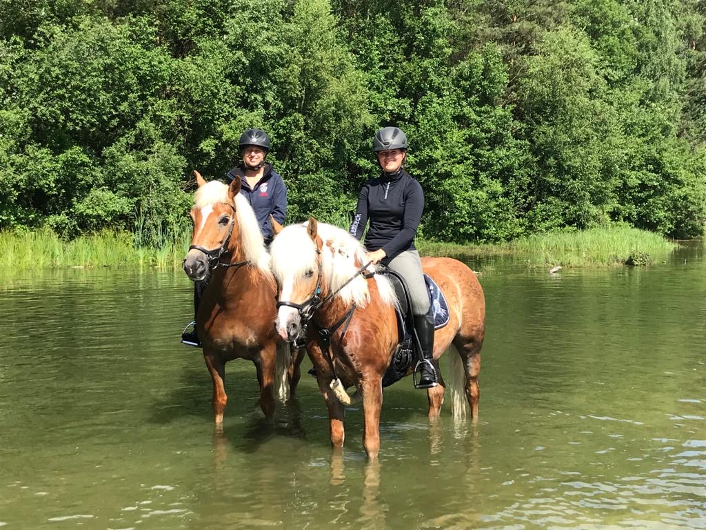 Einladung Ausritt WHV 2022