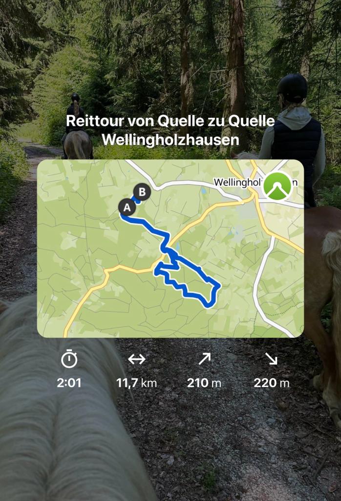 Ausritt_Melle_10.06.2023_0011