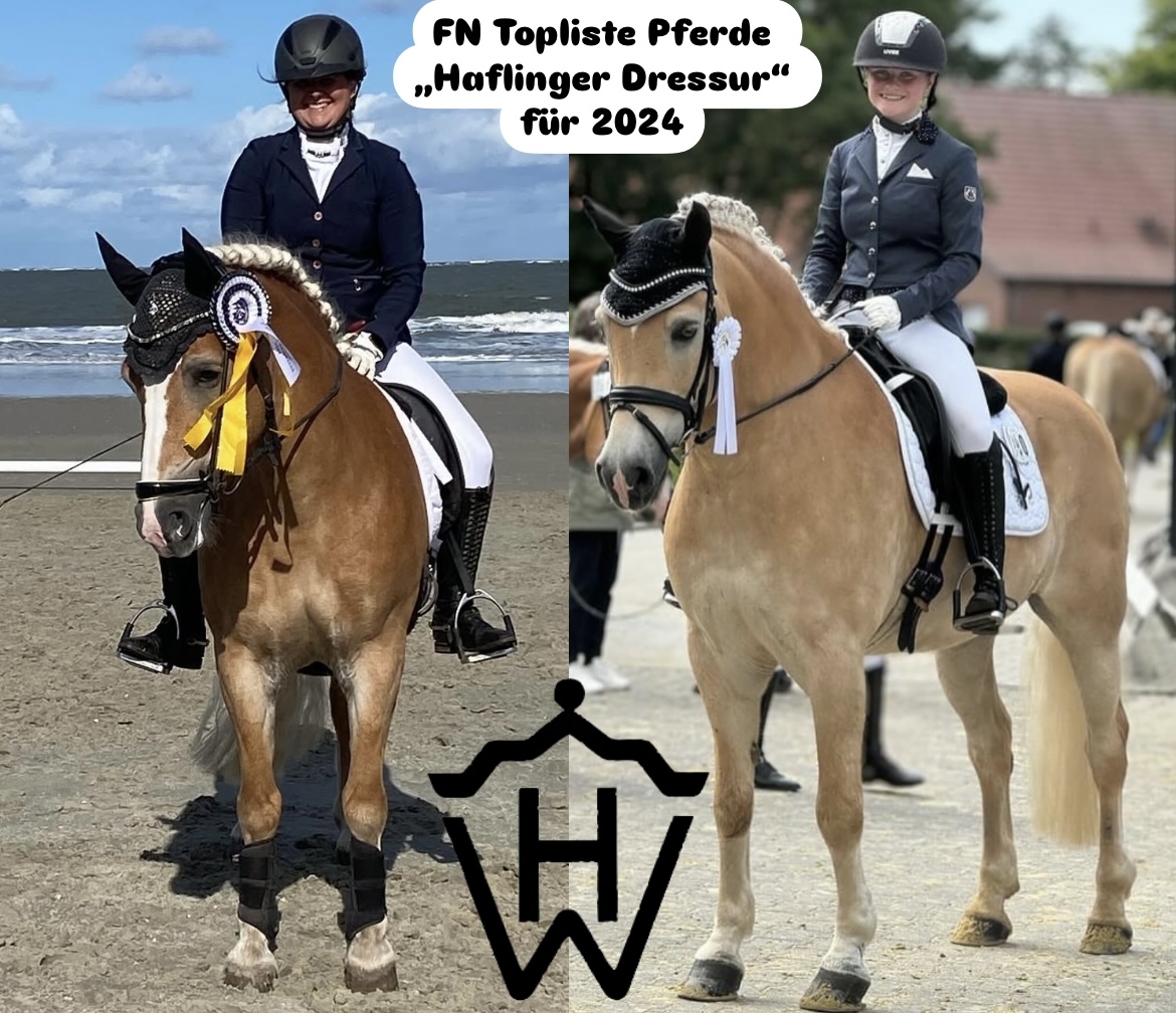 FN Topliste Haflinger Dressur 2024