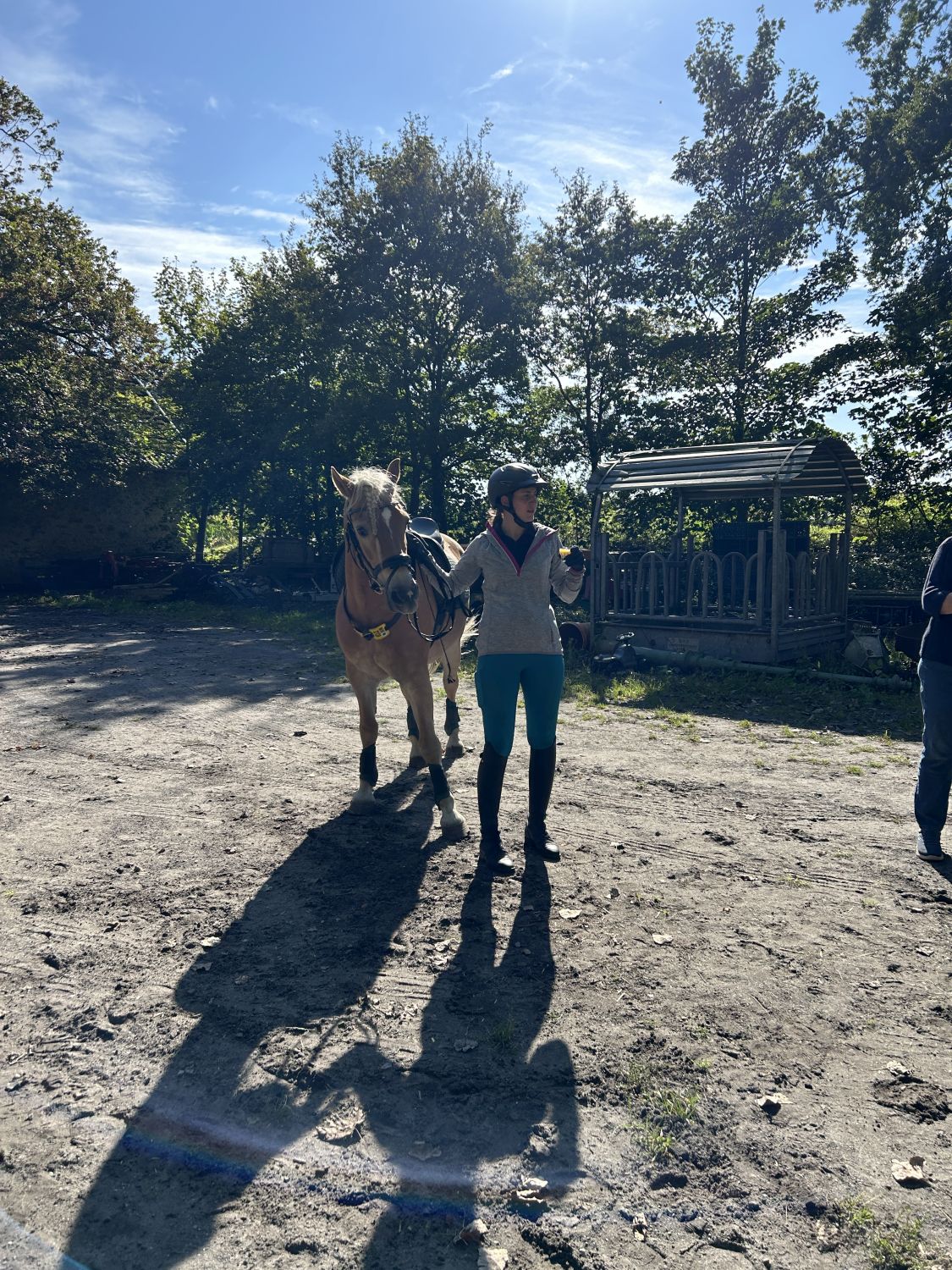 AusrittBadLaer151024_0002