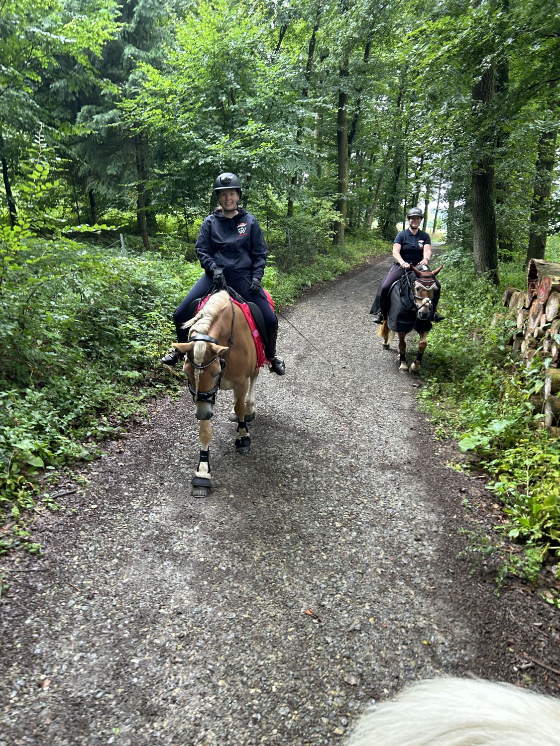 Ausritt Melle24_0001