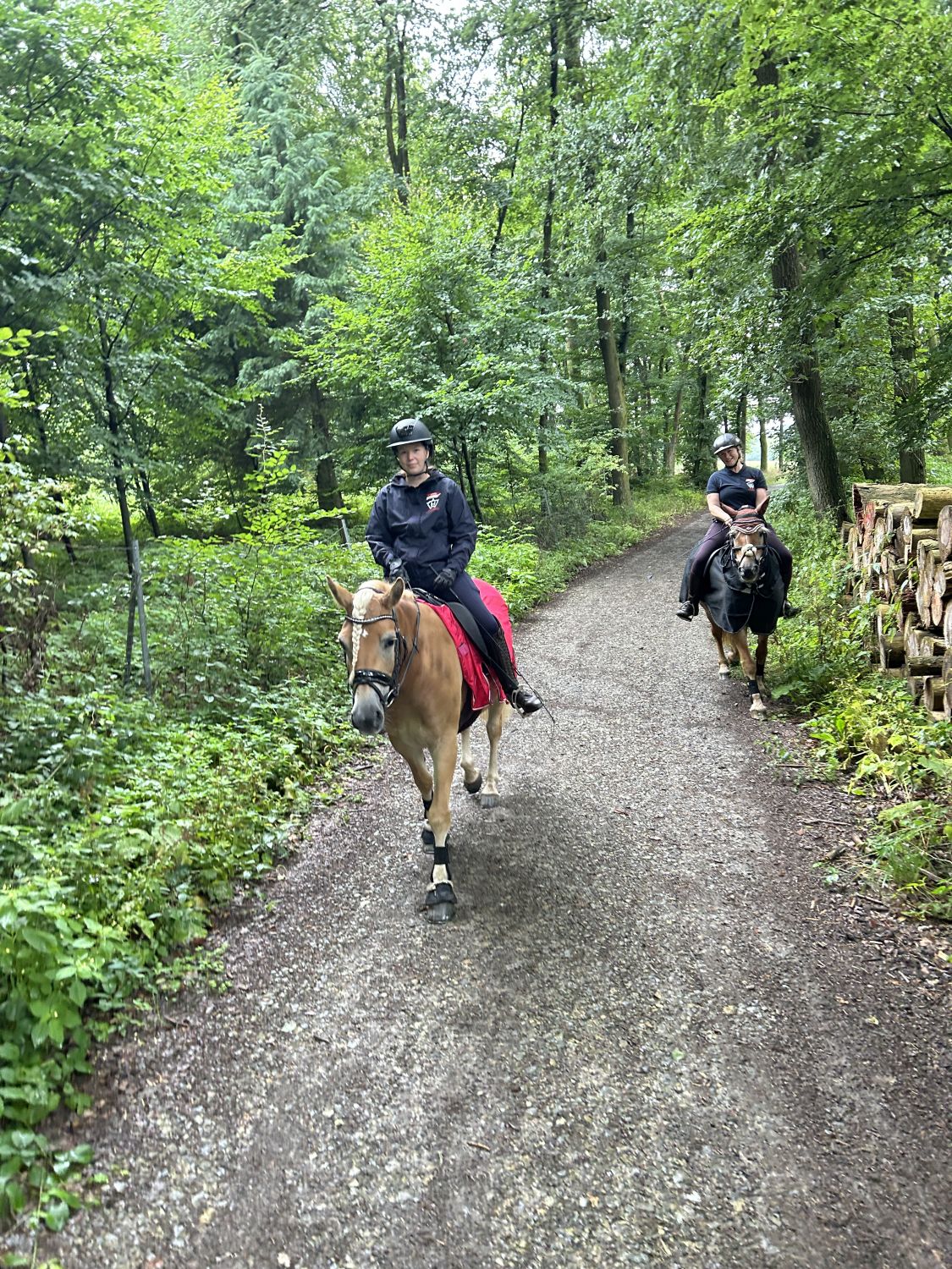 Ausritt Melle24_0002