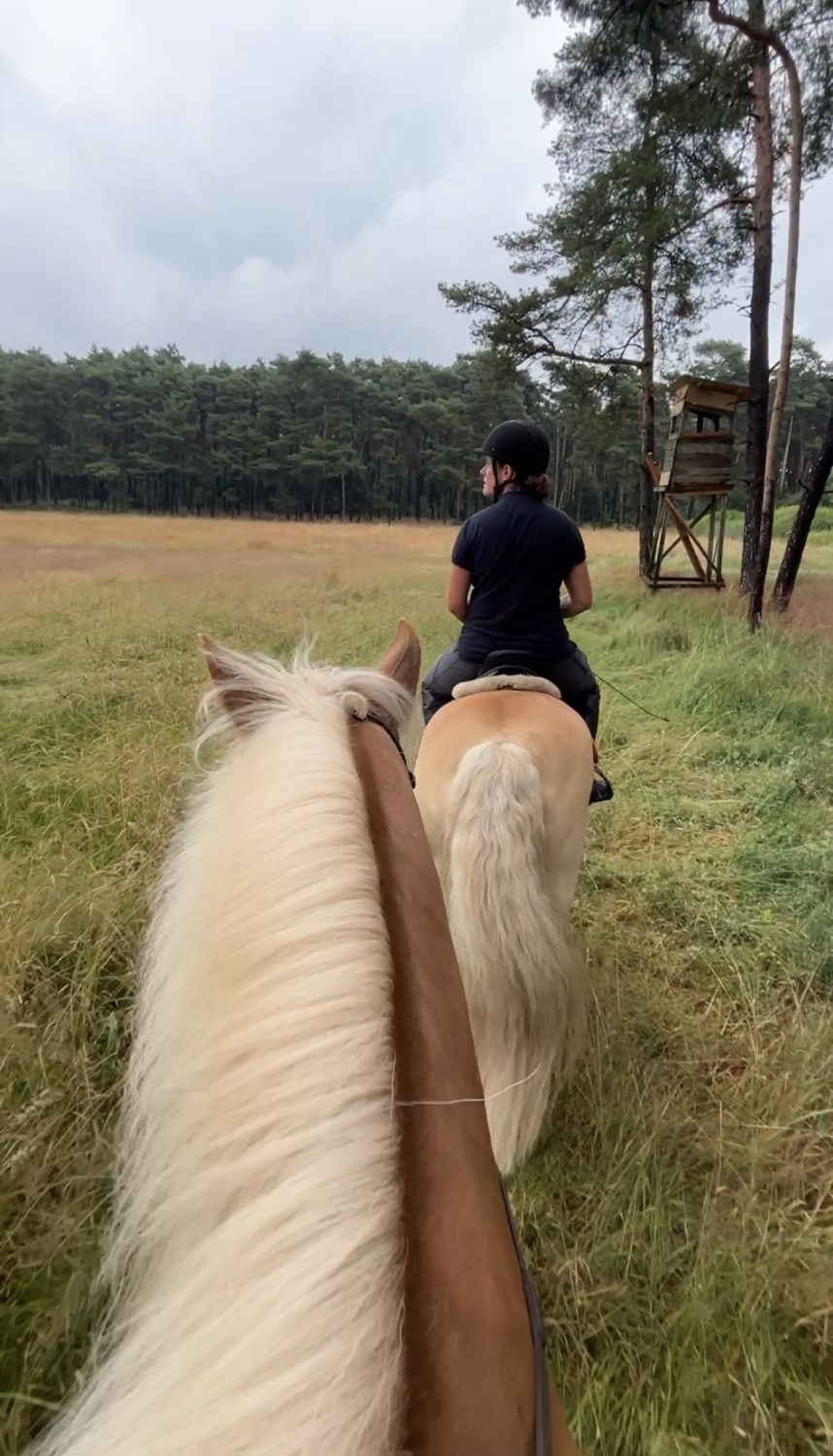 F&uuml;chtorf24_0003