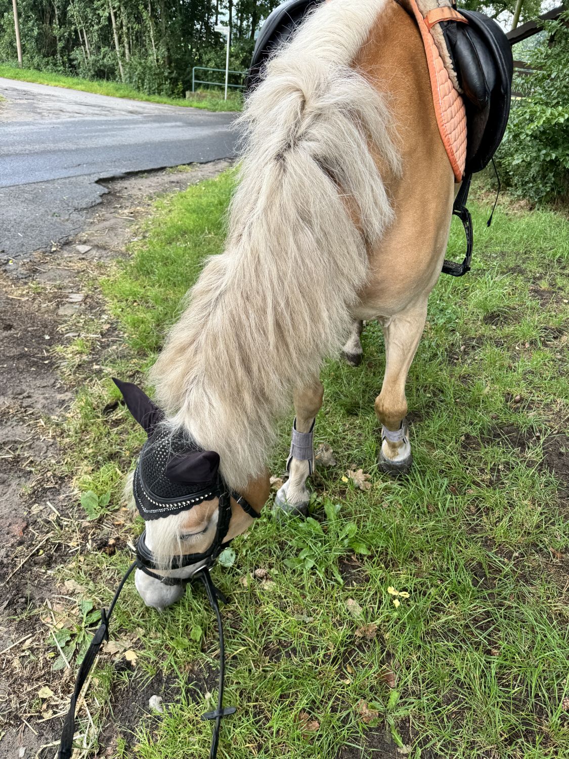 F&uuml;chtorf24_0024