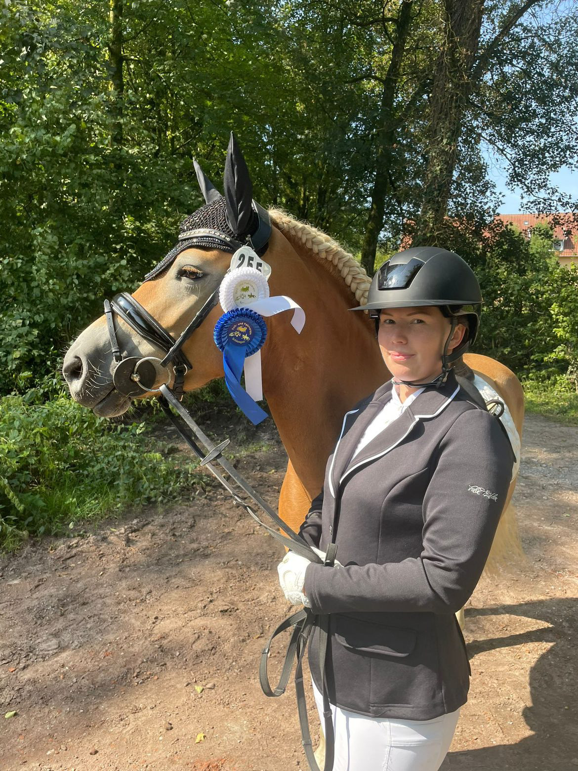 Haflingerpr&uuml;fung Schlangen 31.08.24_0003