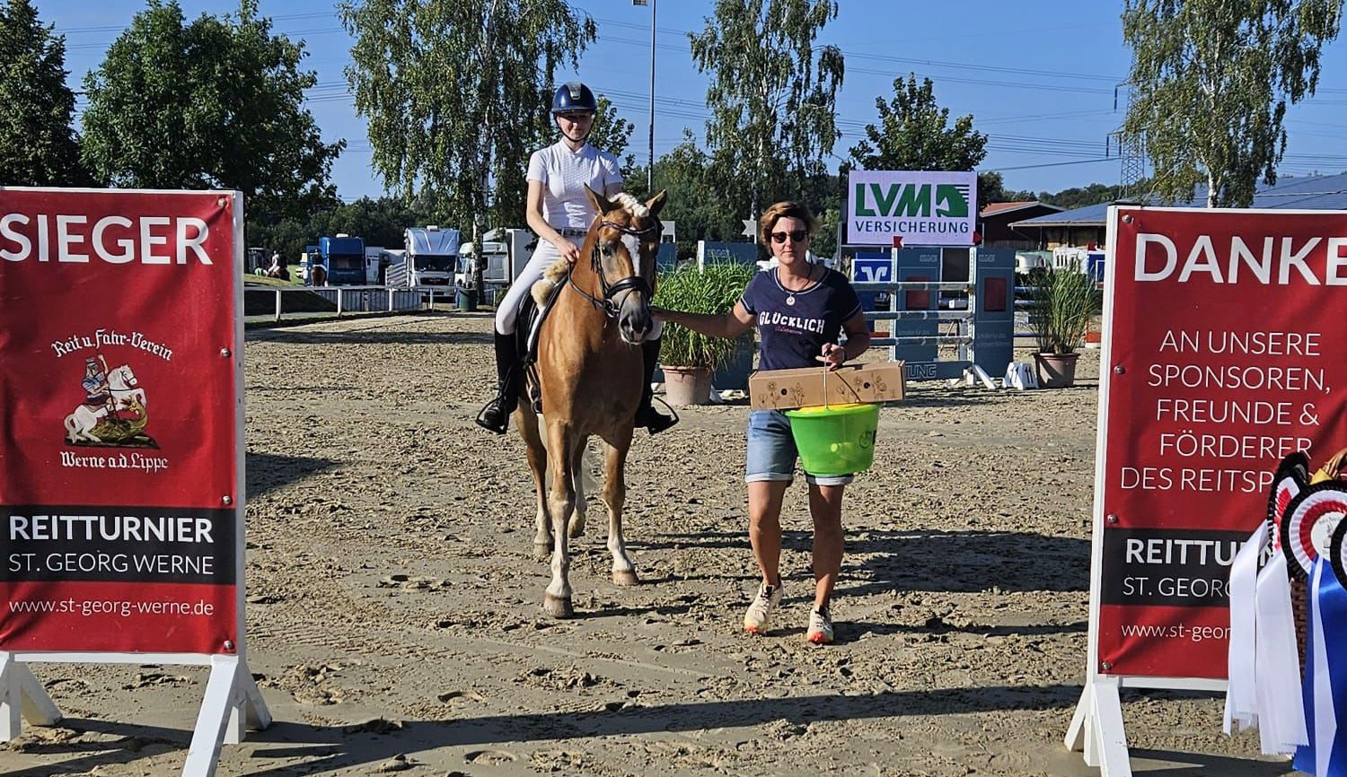Haflingerpr&uuml;fung Werne 24.08.24_0001