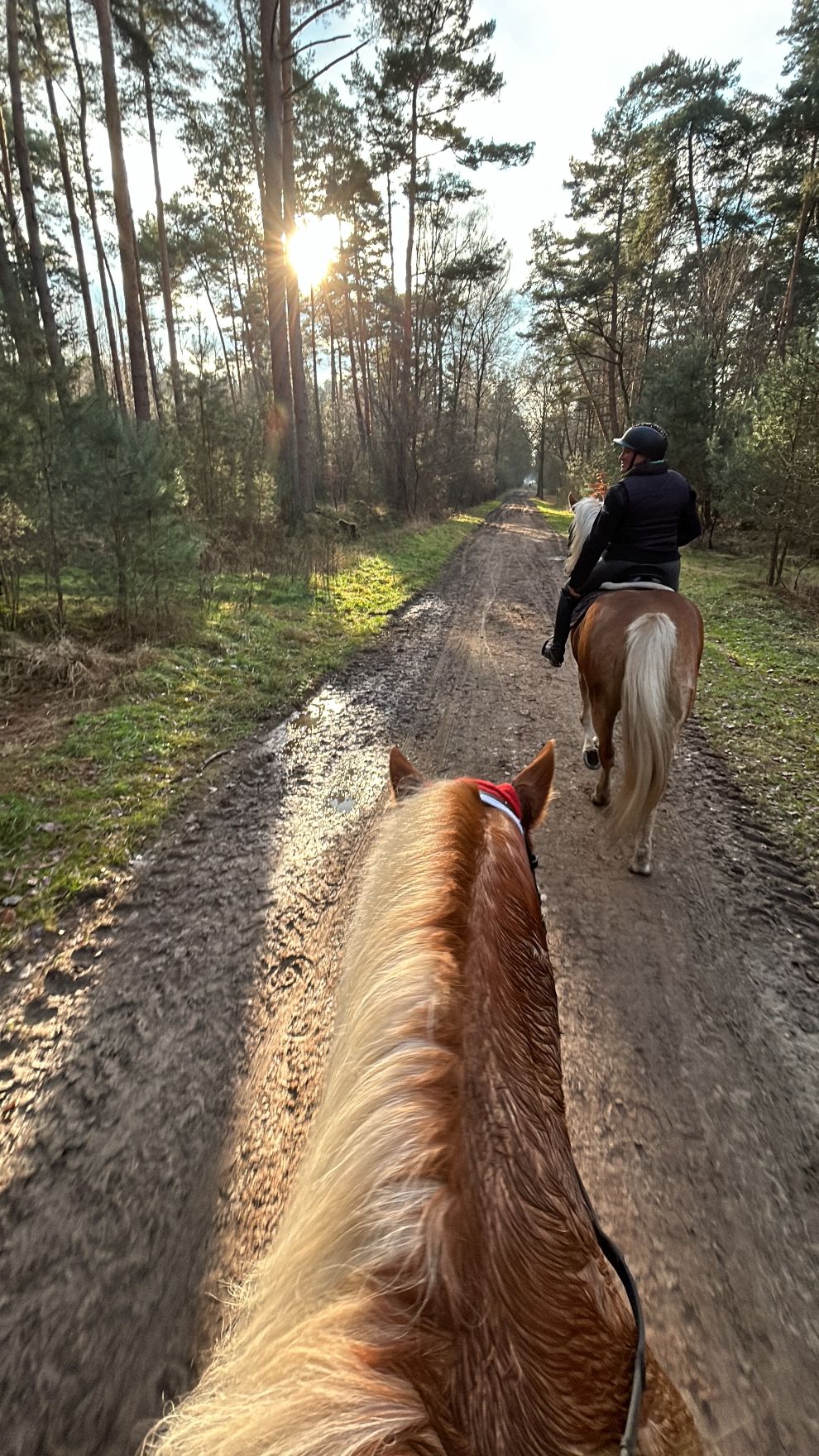 Ausritt_Riesenbeck_14.12.25_019