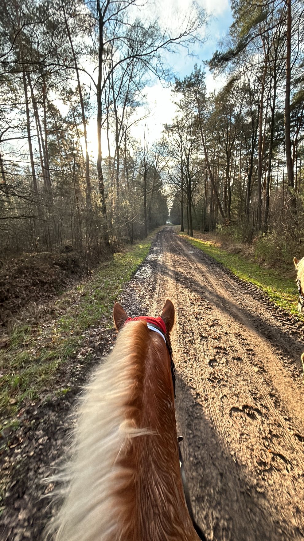 Ausritt_Riesenbeck_14.12.25_020