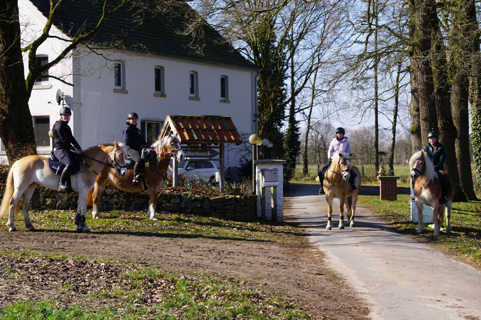 Haflingerausritt_BadLaer2025_0008