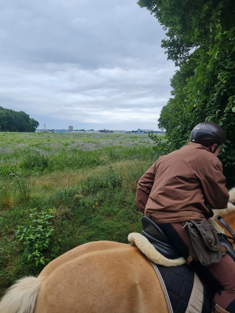 Haflingerausritt_Saerbeck2025_0012