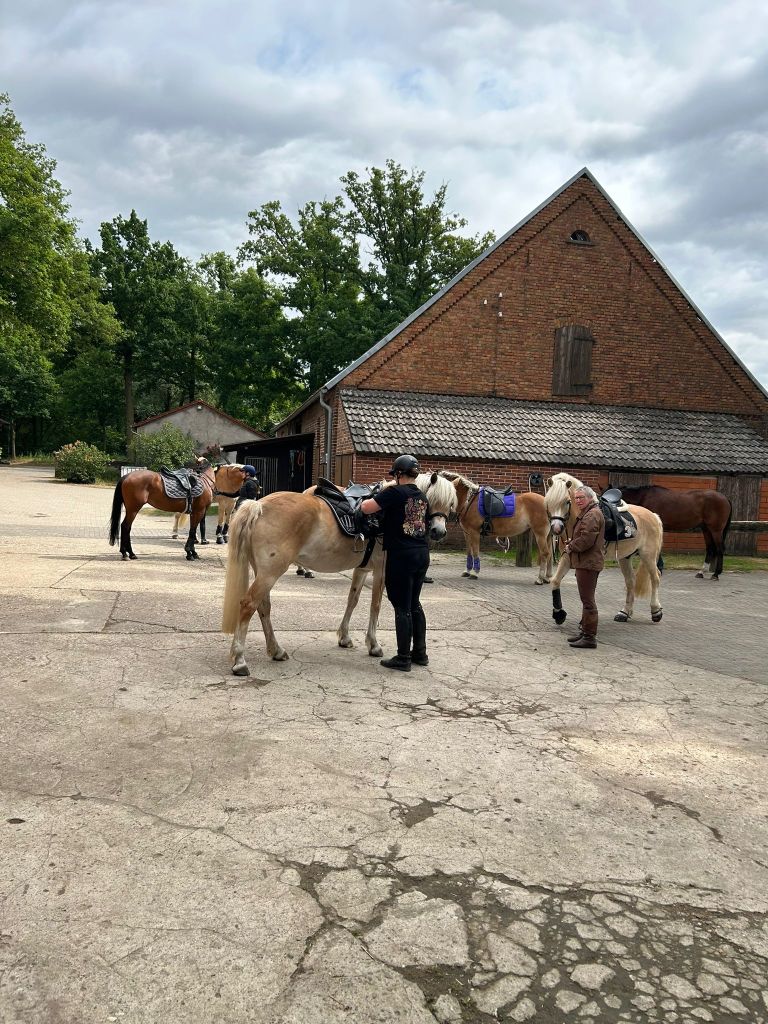 Haflingerausritt_Saerbeck2025_0021