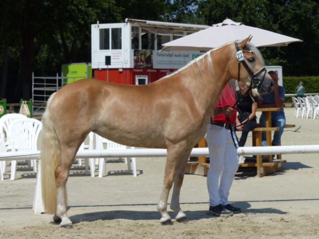 HHT26_034