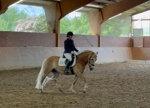 Herne26_A-Dressur_004