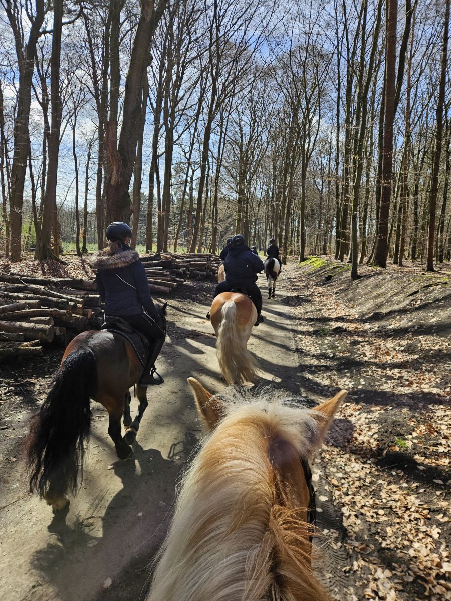 Osterausritt_06.04.26_0010