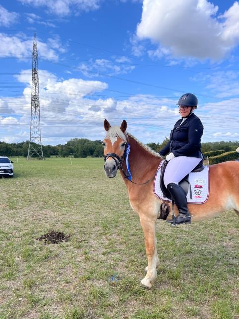 Haflinger-Trophy 2026_007