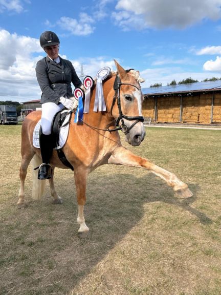 Haflinger-Trophy 2026_008