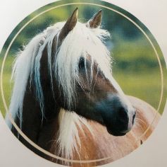 Aufkleber 4 - Pferdekopf rechts