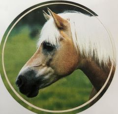 Aufkleber 5 - Pferdekopf links