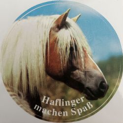 Aufkleber 7 - Haflinger machen Spa&szlig;