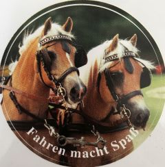 Aufkleber 8 - Fahren macht Spa&szlig;